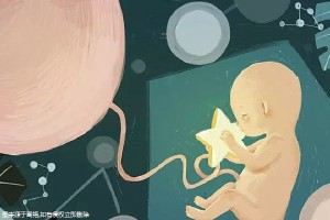 国内那里有借卵代孕